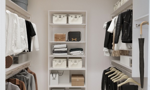Walk-in closet with custom organization system Cover Image