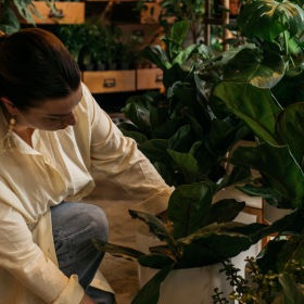 REN Lifestyle 2 Person tending to plants in a retail store
