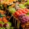lifestyle image of fruits and vegetables at Seattle Public Market